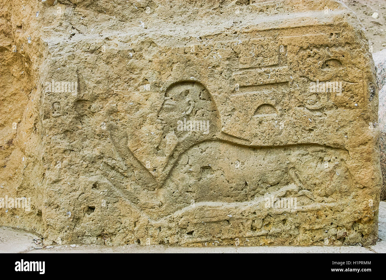 L'Egypte, Delta du Nil, Tanis, relief sur la voie processionnelle moderne au temple : Le roi comme sphinx propose une image de Maat. Banque D'Images