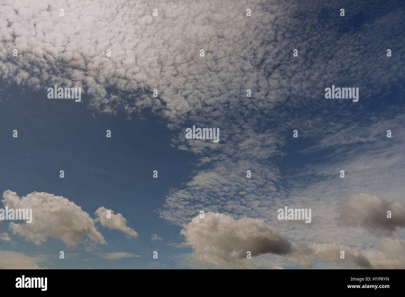 Ciel, nuages, bleu, blanc, nuage, la beauté, l'arrière-plan, couleur, lumineux, les conditions météorologiques, atmosphériques, Banque D'Images