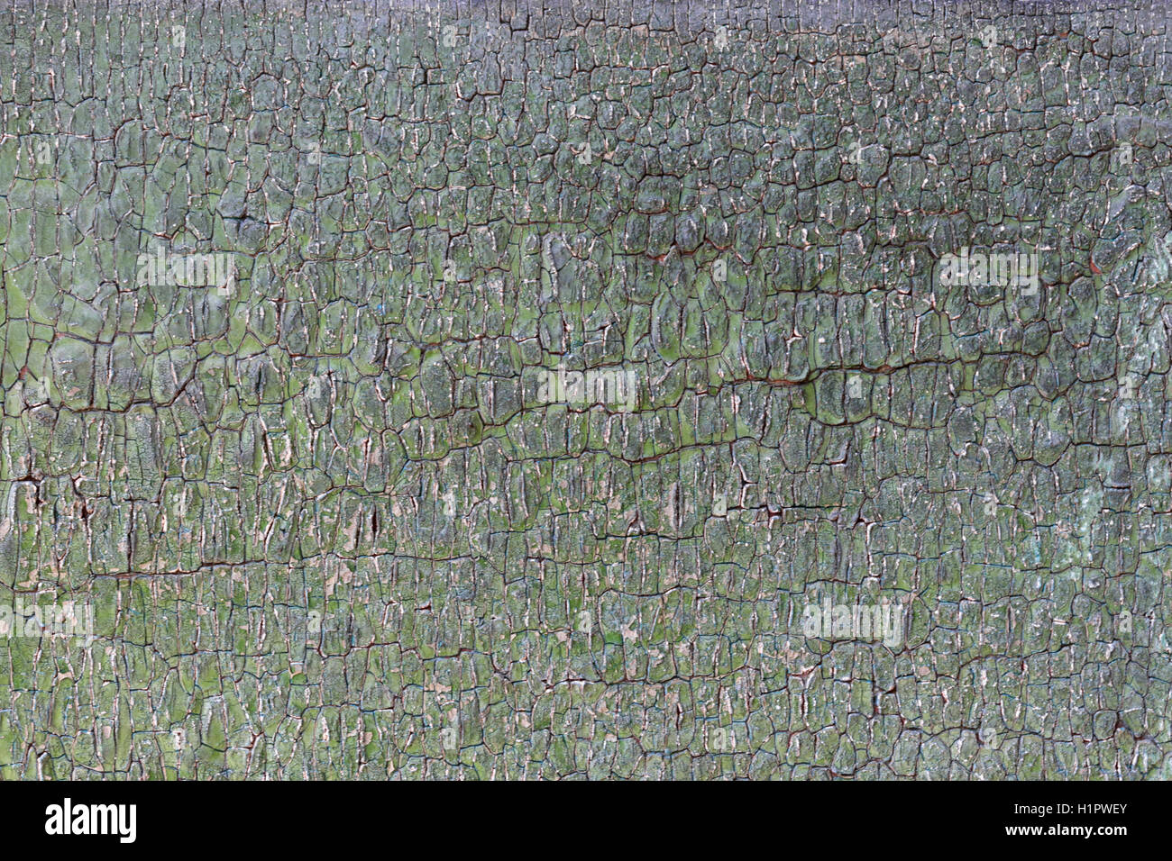 Des petites fissures ont rompu la peinture couleur vert Banque D'Images