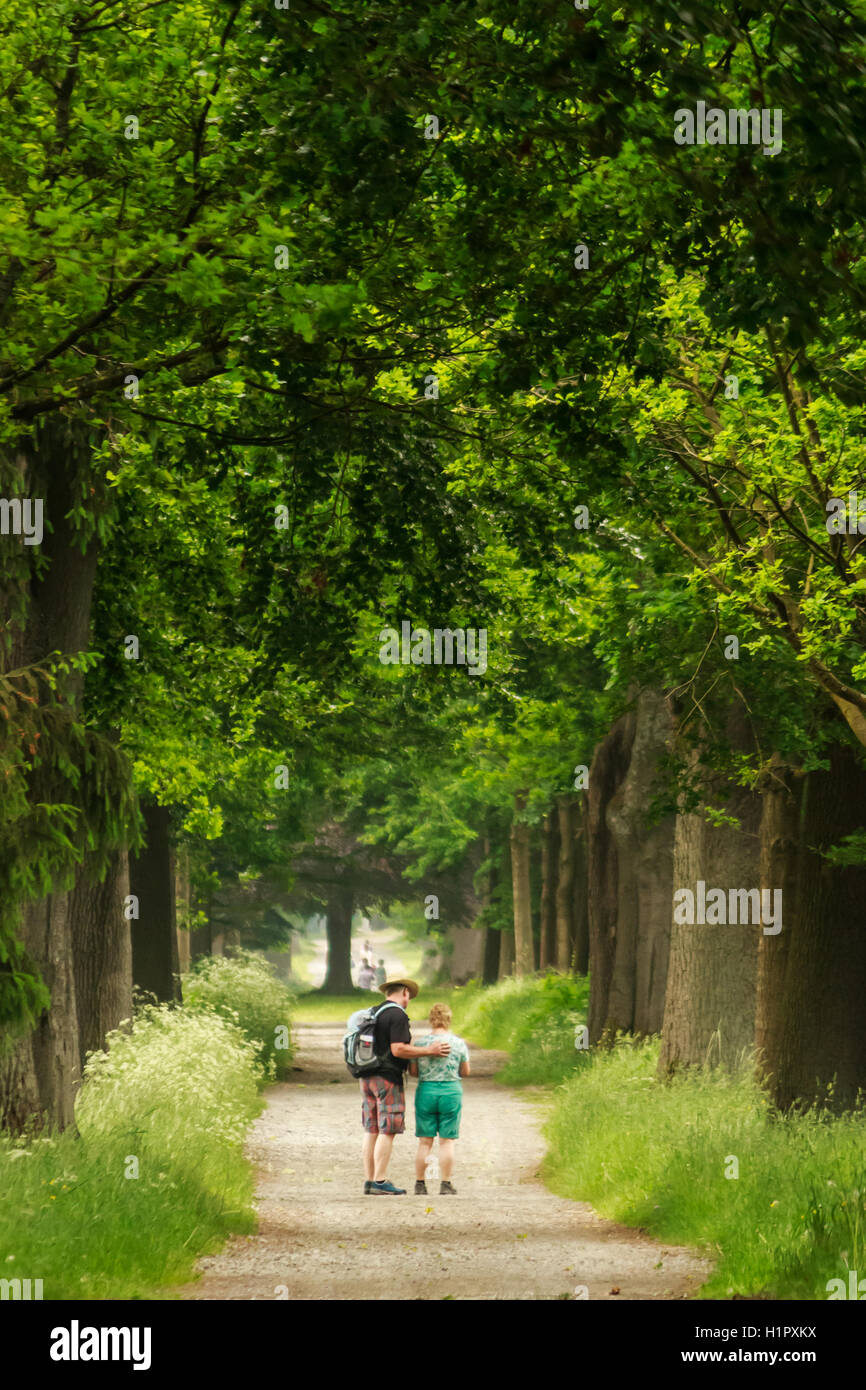 Le chemin nous prenons ensemble. Banque D'Images