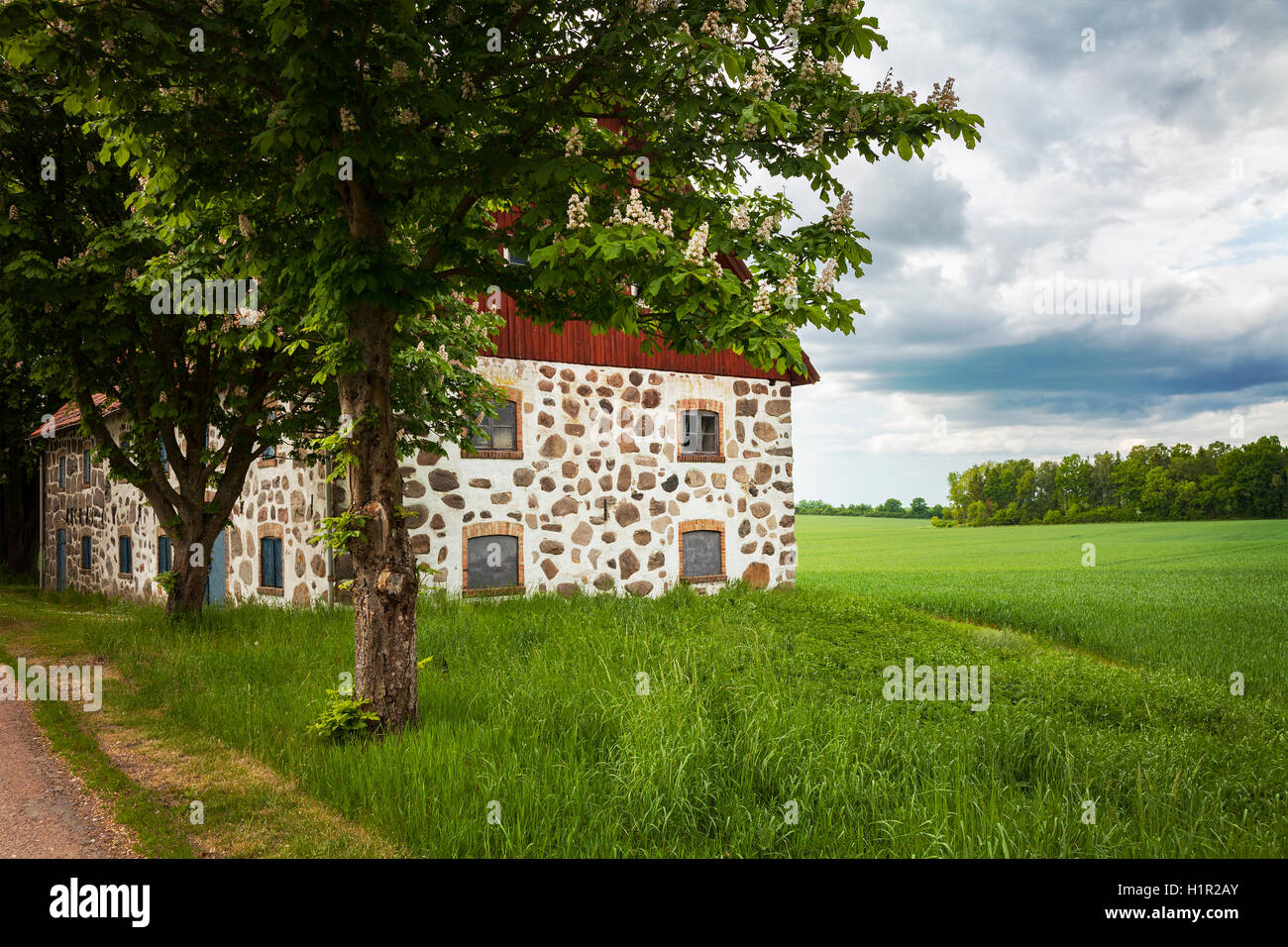 Image de la grange traditionnelle en pierre. Scania, la Suède. Banque D'Images