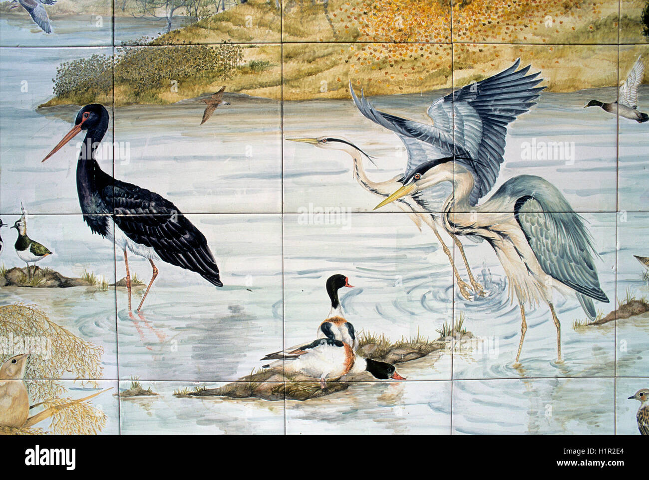 Oiseaux peints sur le mur du centre des visiteurs à l'oasis du WWF de Lake Penne, Abruzzes, Italie Banque D'Images