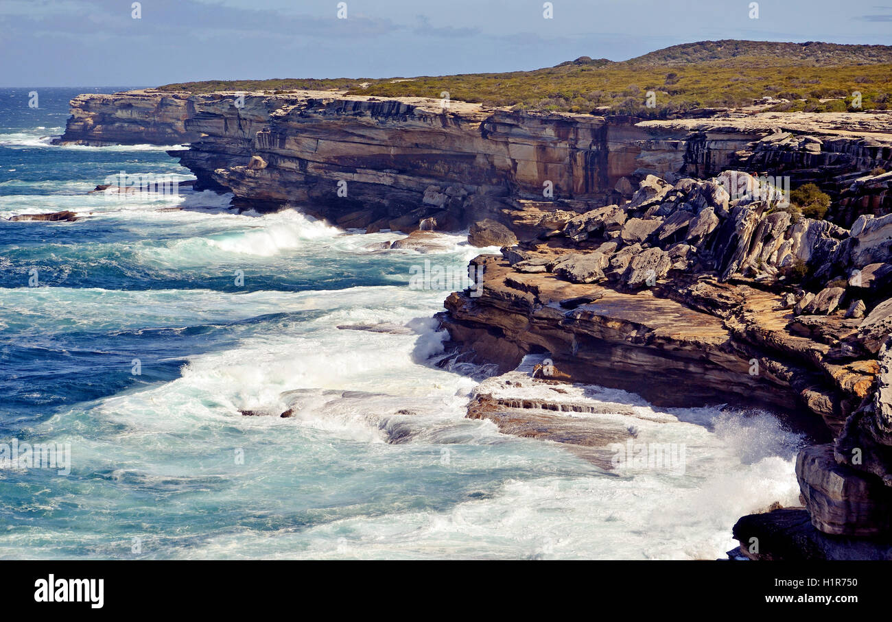 Érodés, falaises de grès robuste de Cape Solander, New South Wales, Australie. Littoral L'effondrement de l'érosion des roches. Banque D'Images