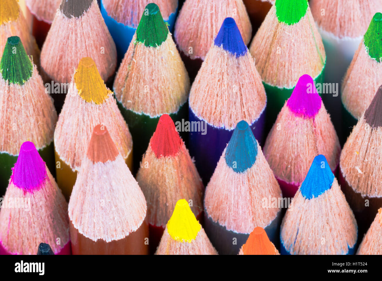 Close up shot macro de crayons de couleur, de l'éducation et la créativité concept Banque D'Images