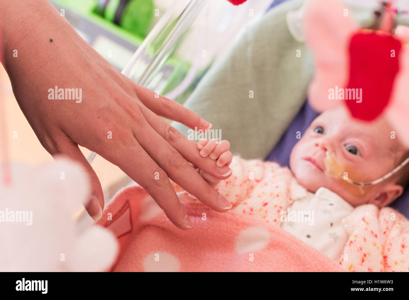 Bébé nouveau-né prématuré alimentation entérale avec tube d'allaitement, néonatologie Département, CHU de Bordeaux. Banque D'Images