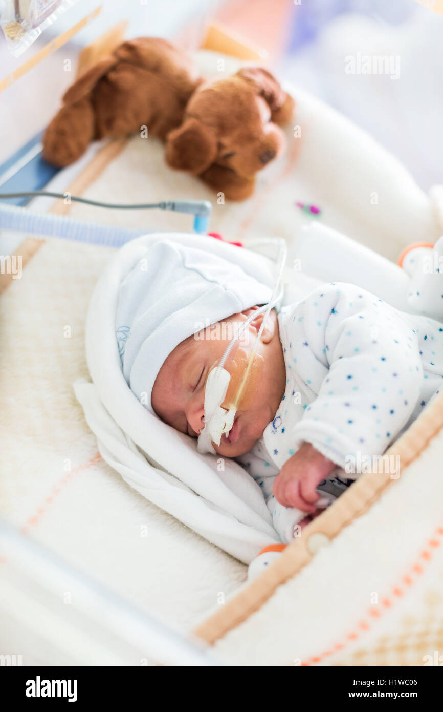 Bébé nouveau-né prématuré placé sous assistance respiratoire, CHU de Bordeaux. Banque D'Images