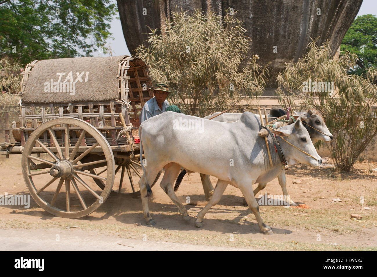 Wagon couvert, charrette 'TAXI' dans Mandalay Myanmar. Banque D'Images