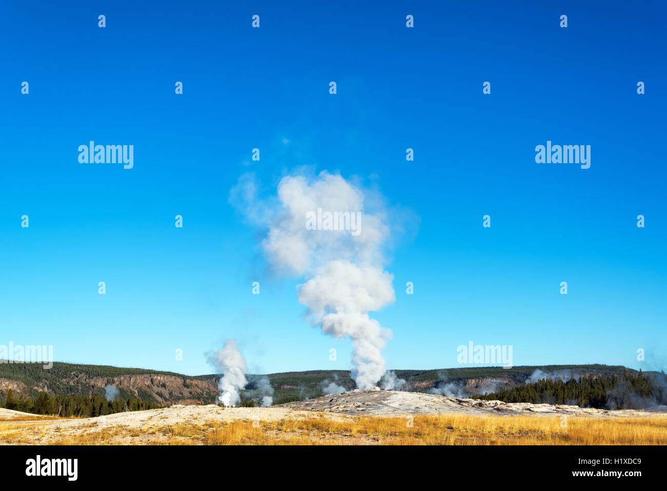 Vue sur Old Faithful Geyser Basin et la partie supérieure dans le Yellowstone National Park Banque D'Images