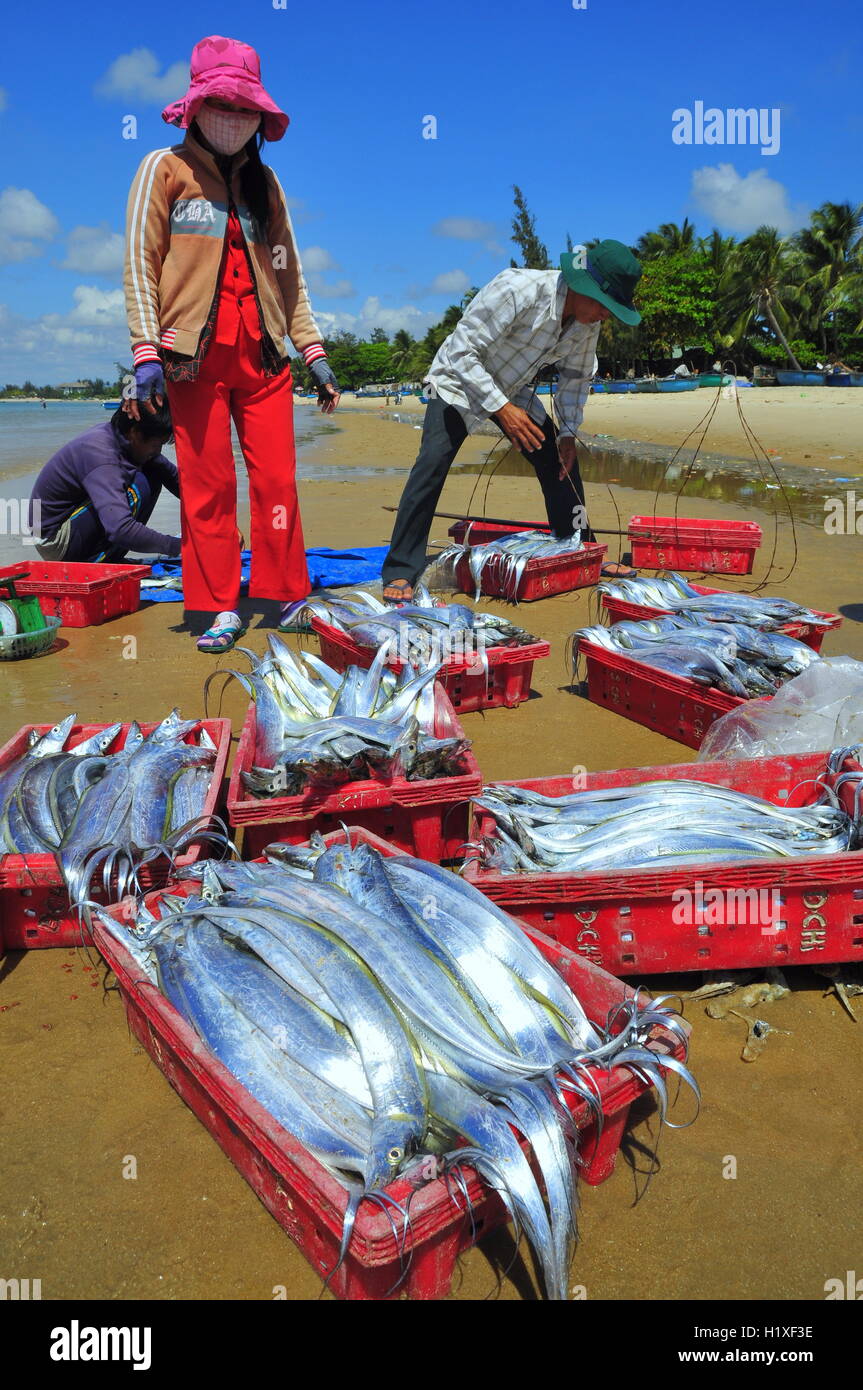 Lagi, Vietnam - 26 Février 2012 : les pêcheurs locaux vendent leurs poissons à la population locale et les touristes sur la plage Lagi Banque D'Images