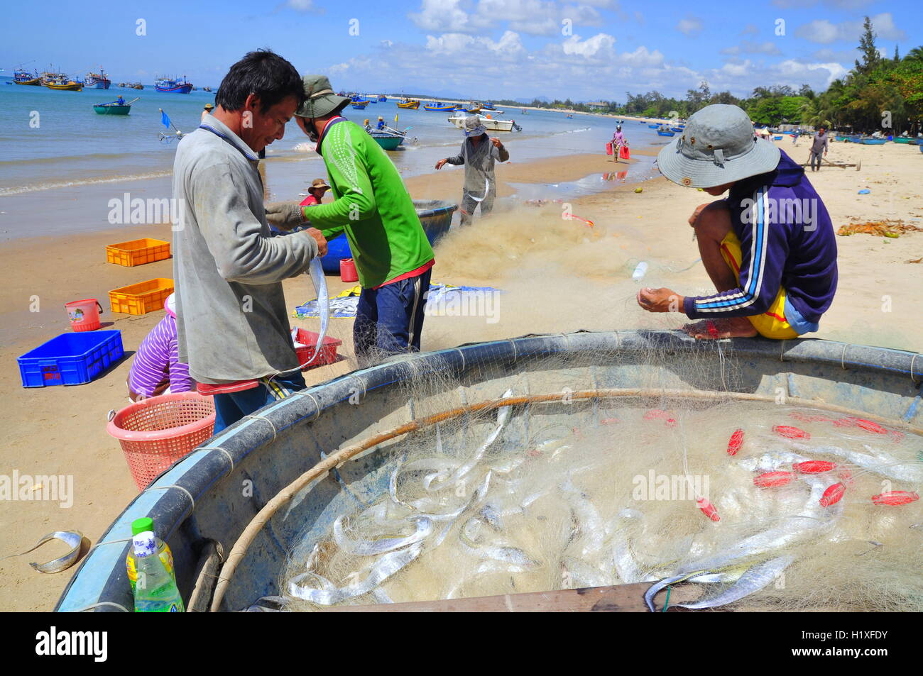 Lagi, Vietnam - 26 Février 2012 : les pêcheurs locaux sont la suppression de leurs poissons filets de pêche dans la Lagi beach Banque D'Images