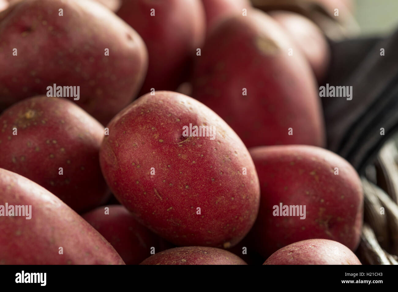 Pommes rouges biologiques crus prête pour la cuisson Banque D'Images