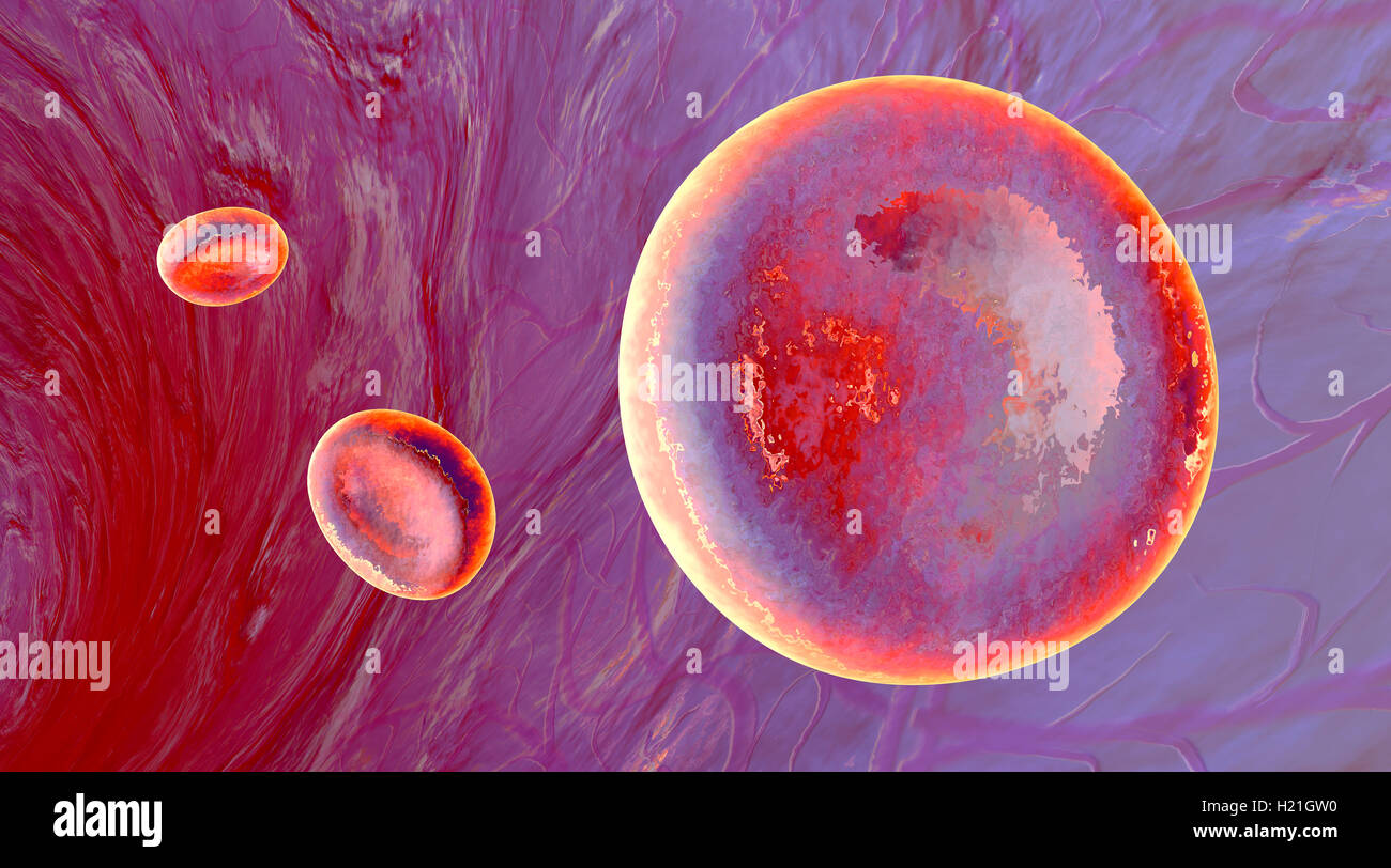 Rendu 3D illustration de cellules érythrocytaires qui coule dans une veine ou une artère Banque D'Images