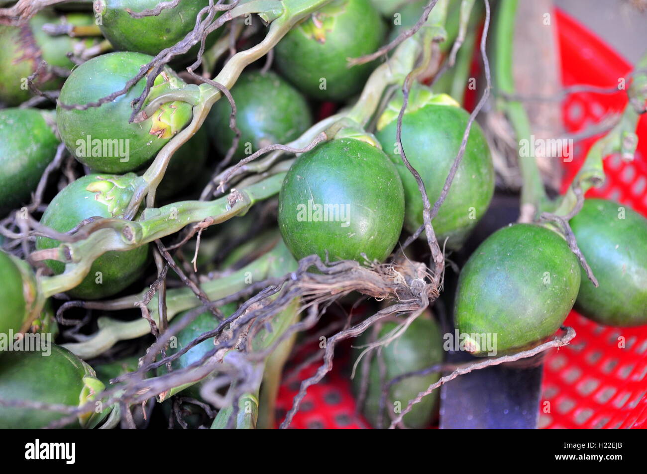 Areca fruits sont à vendre à un marché local au Vietnam Banque D'Images