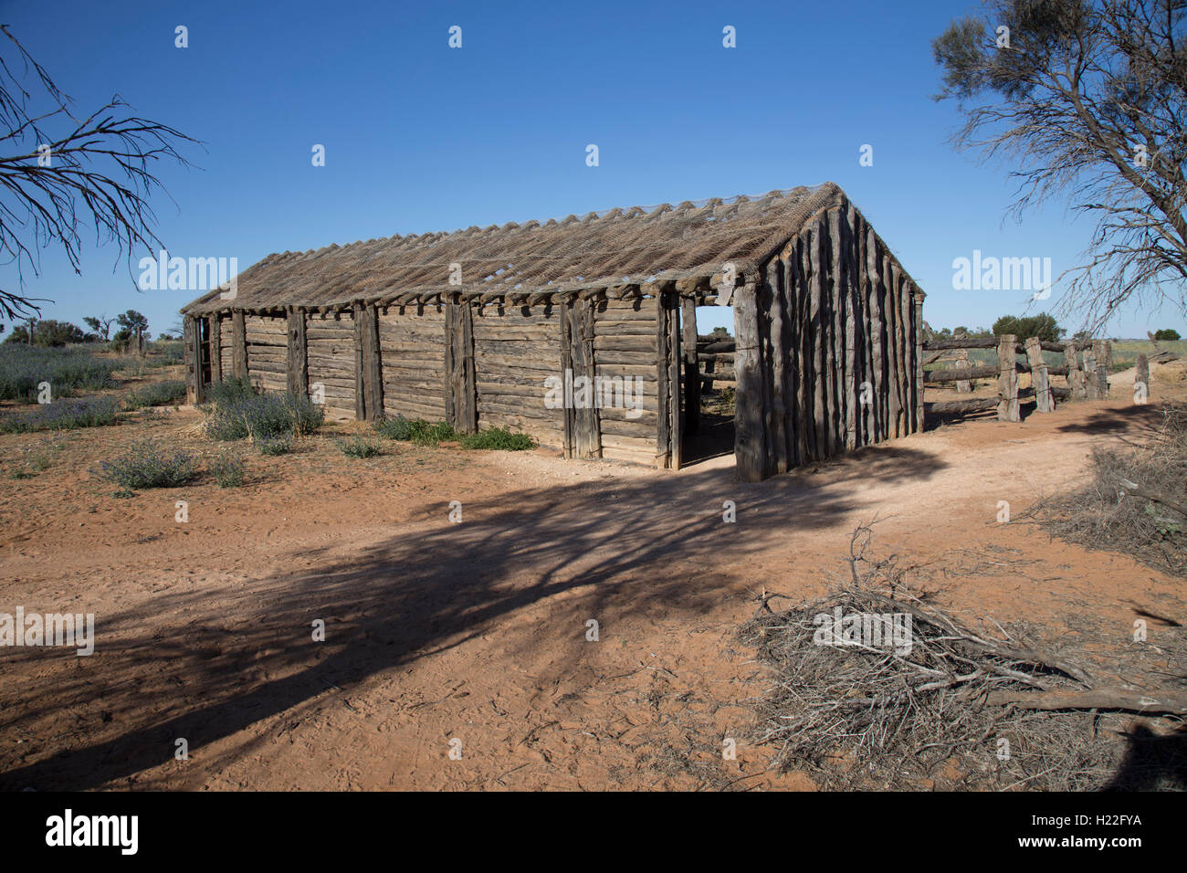 Reste de laine shearing shed à Zanci Homestead Mungo National Park New South Wales Australie Banque D'Images