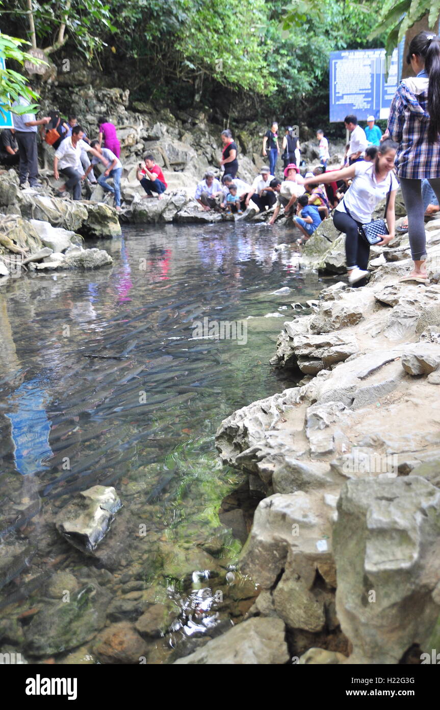 Thanh Hoa, Vietnam - 24 octobre 2015 : Les gens qui souhaitent bonne chance à partir du dieu vietnamiens poisson dans le ruisseau de Dieu Luong Cam Banque D'Images