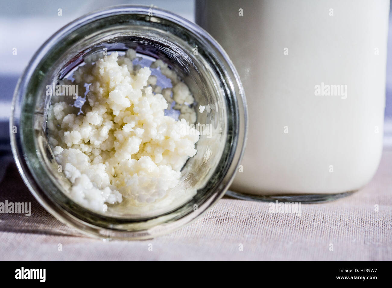 Lait de kéfir. Banque D'Images