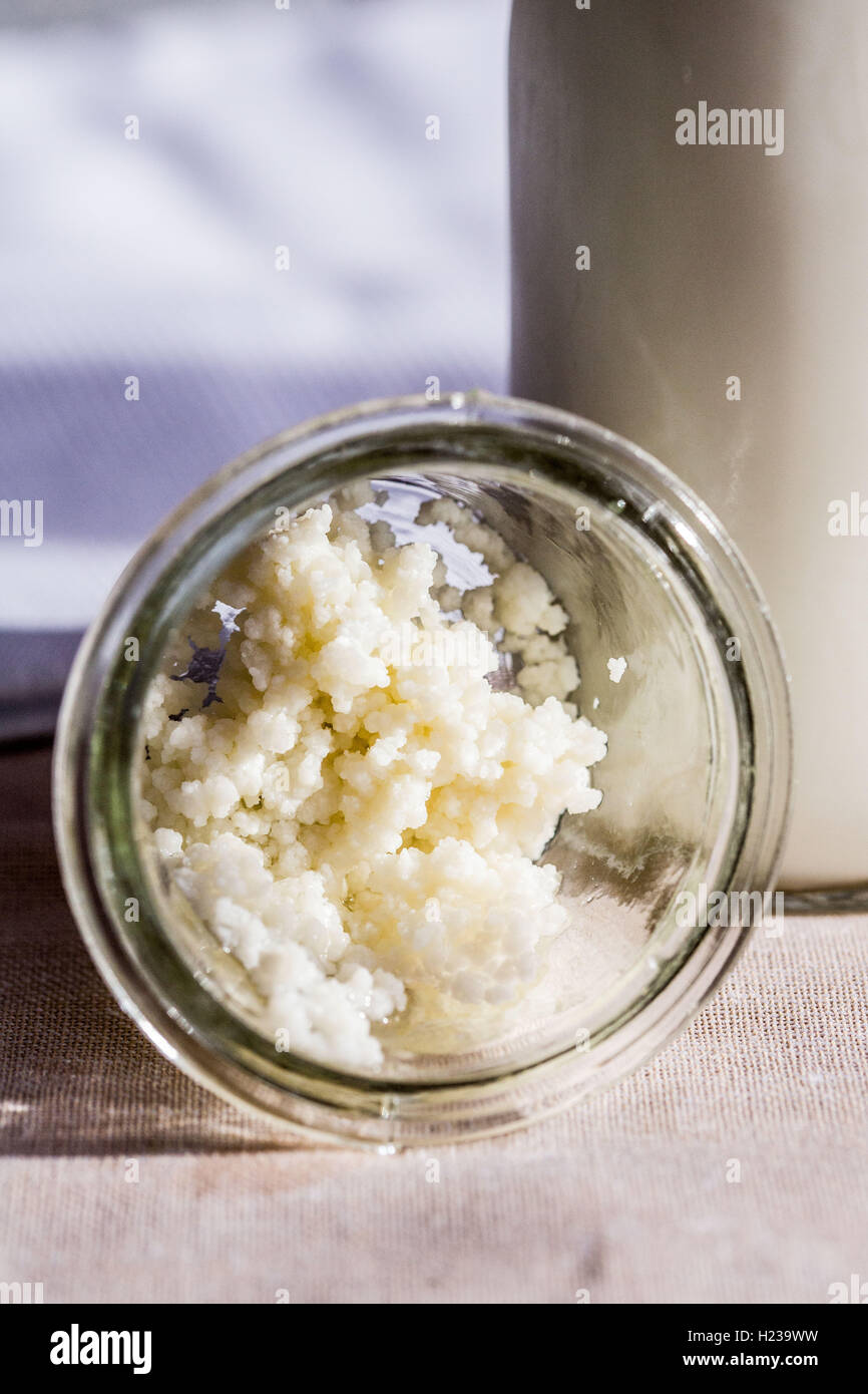 Lait de kéfir. Banque D'Images