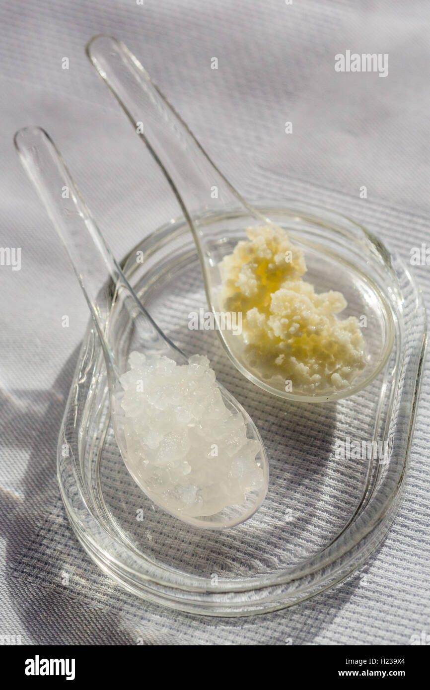 Lait de kéfir. Banque D'Images