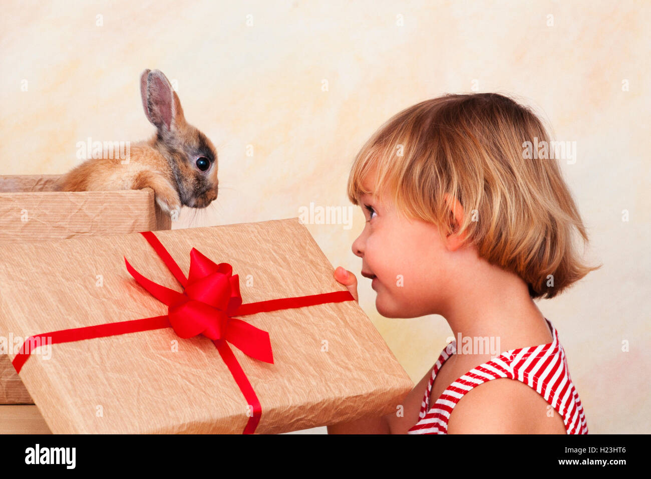 Fillette de quatre ans à la recherche en boîte-cadeau avec l'intérieur du lapin, Autriche Banque D'Images
