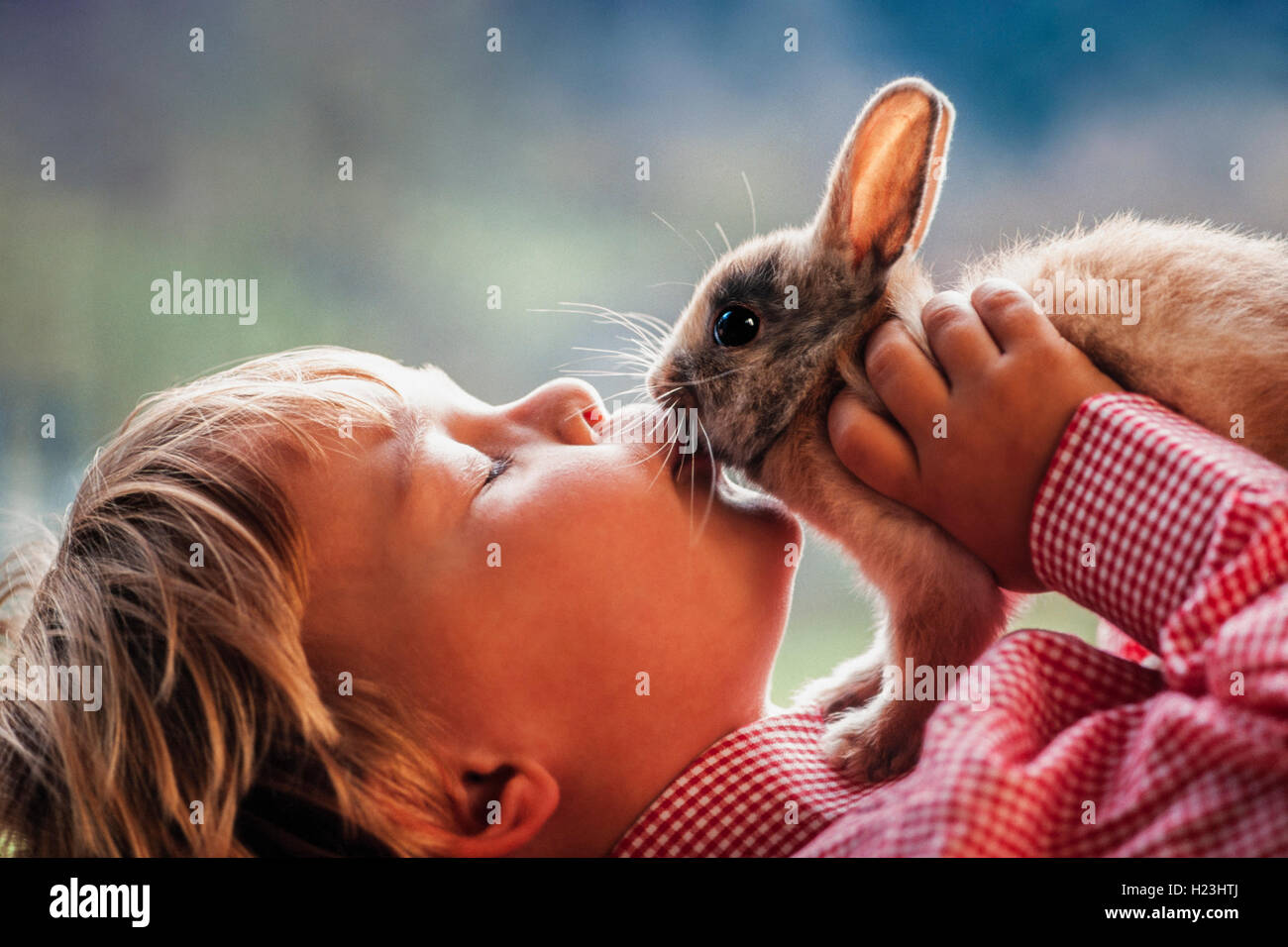4-year-old girl kissing lapin, close-up, Autriche Banque D'Images