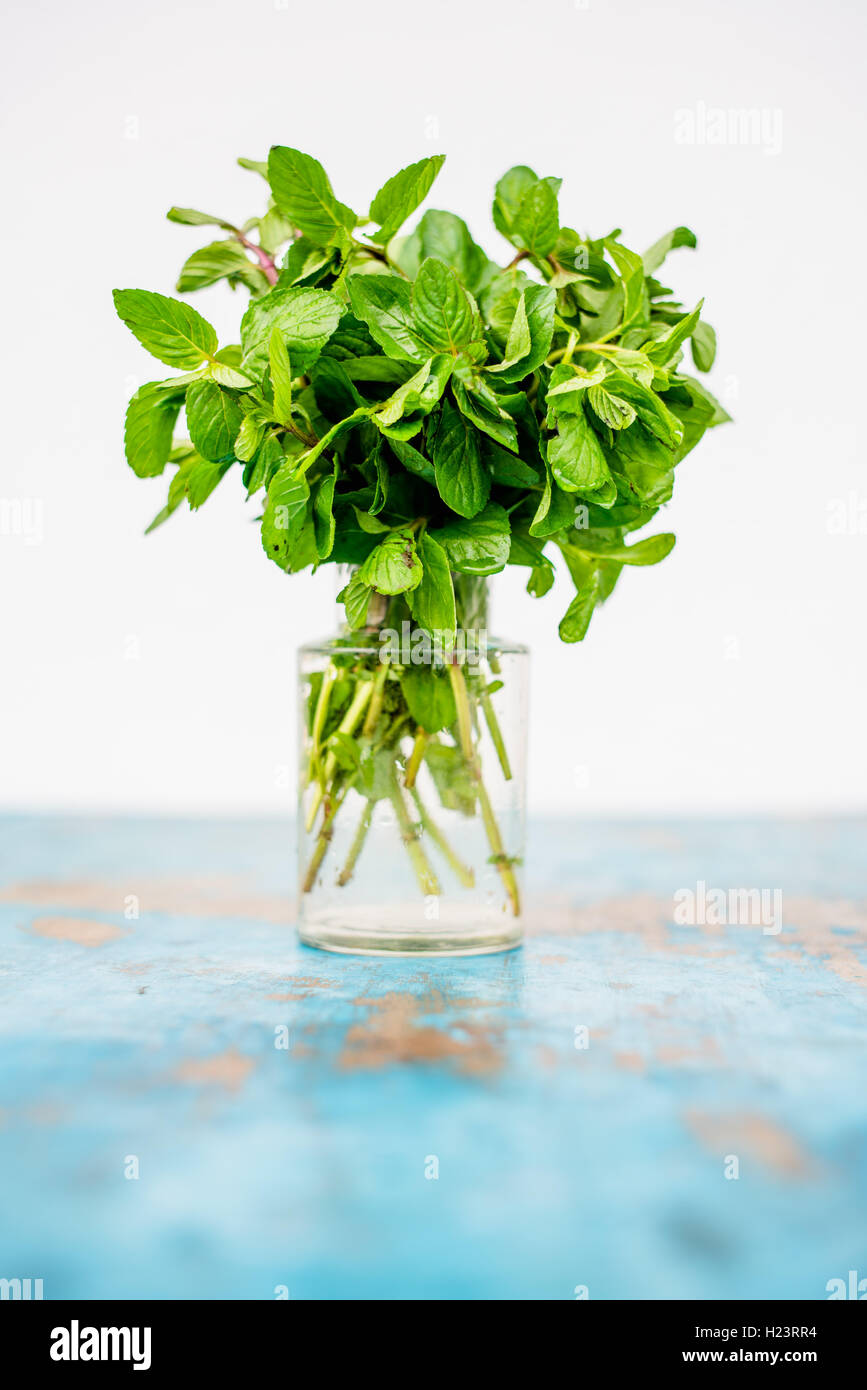 Feuilles de menthe. Banque D'Images