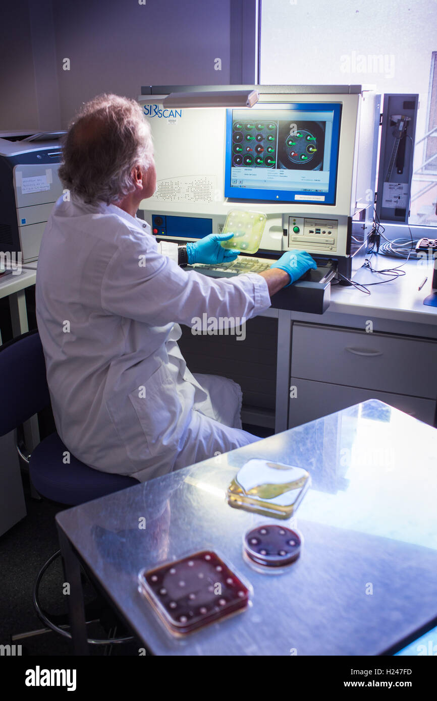 Antibiogramme dans une boîte de Petri lecture par un automate, laboratoire de l'hôpital d'Angoulême, France. Banque D'Images
