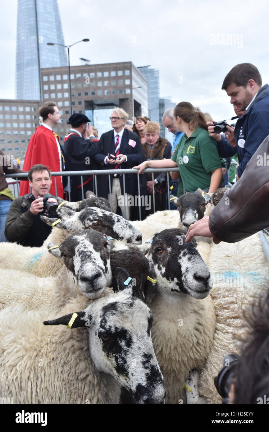 London Bridge, London, UK. 25 Septembre, 2016. Nigel Mansell. L'assemblée annuelle d'entraînement des moutons par la Worshipful Company of Woolmen Banque D'Images