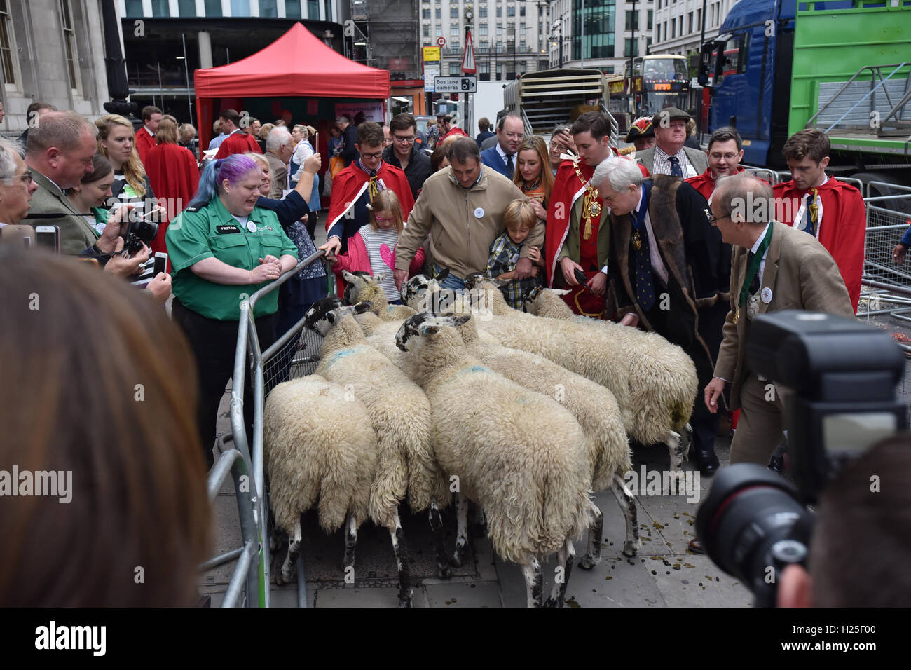 London Bridge, London, UK. 25 Septembre, 2016. Nigel Mansell. L'assemblée annuelle d'entraînement des moutons par la Worshipful Company of Woolmen Banque D'Images