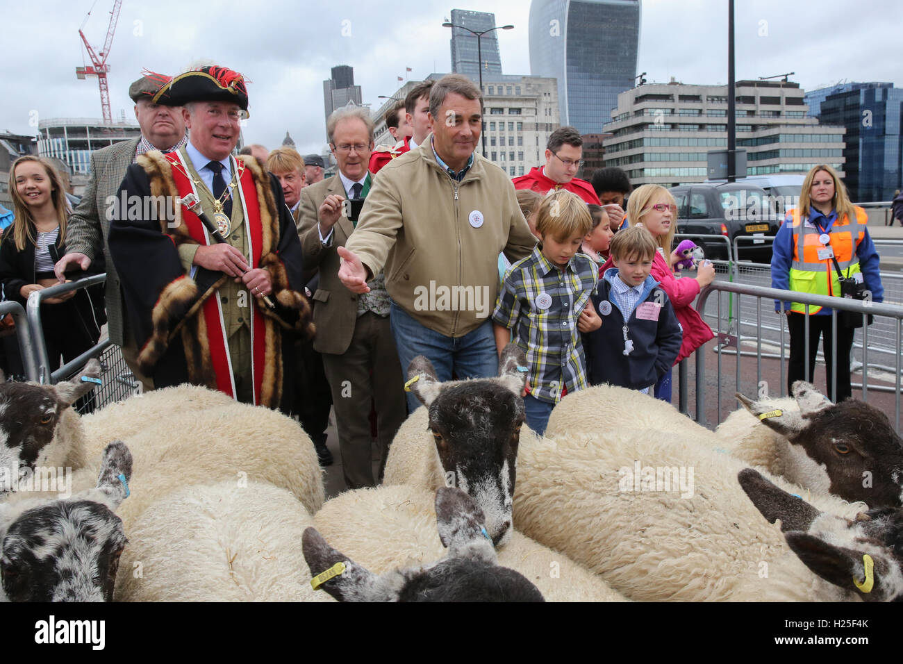 Londres, Royaume-Uni. 25 Septembre, 2016. L'ancien Champion du Monde de Formule 1 Nigel Mansell pilote de course s'est joint à Freeman de la ville de Londres au volant moutons London Bridge, la pratique de leur ancien rite et la collecte de fonds pour l'appel de Lord Mayor : Crédit photographique à vue/Alamy Live News Banque D'Images