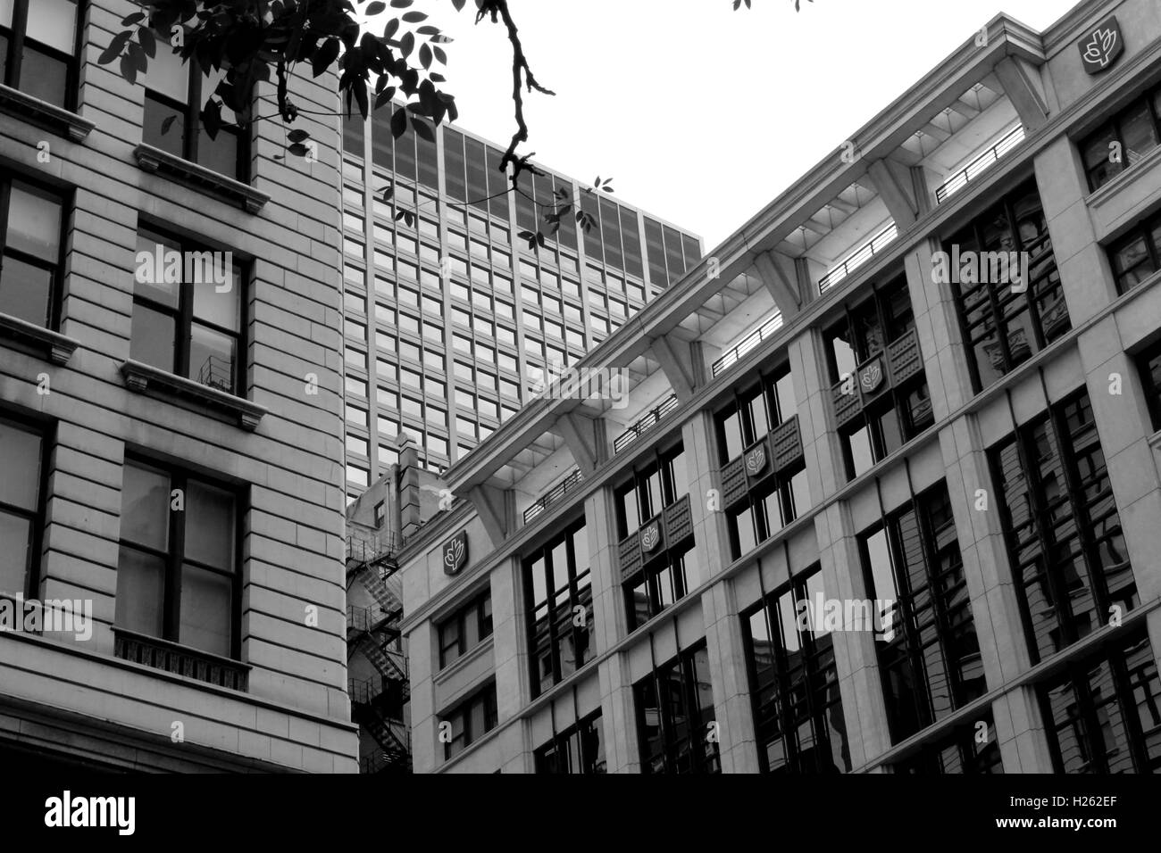 Les bâtiments au centre-ville de Chicago, IL Banque D'Images