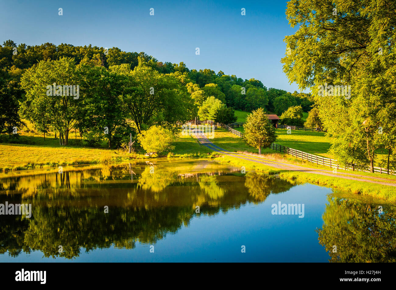 Étang et ferme dans les régions rurales de la vallée de Shenandoah en Virginie. Banque D'Images