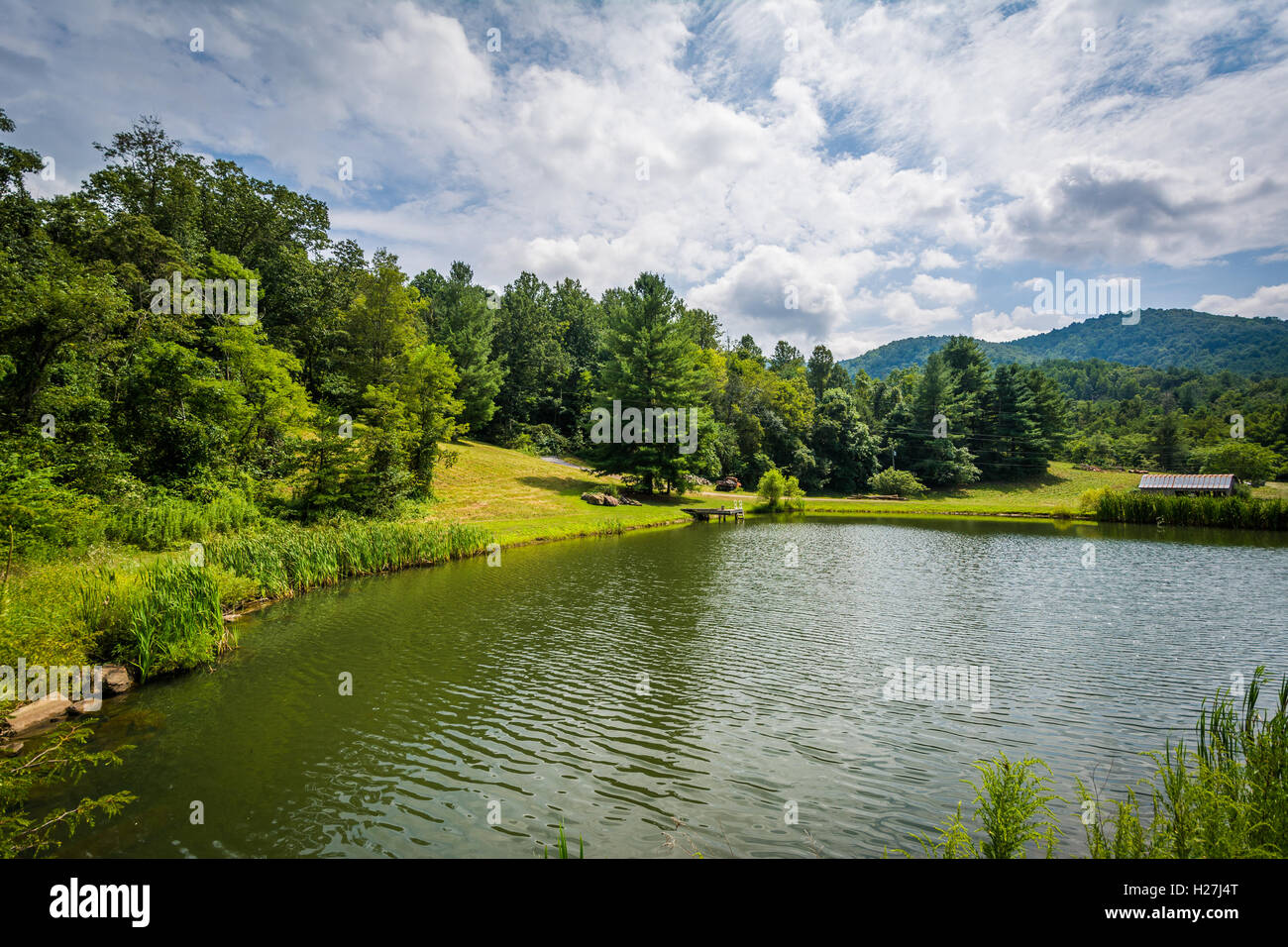 Dans les régions rurales de l'étang de la vallée de Shenandoah en Virginie. Banque D'Images