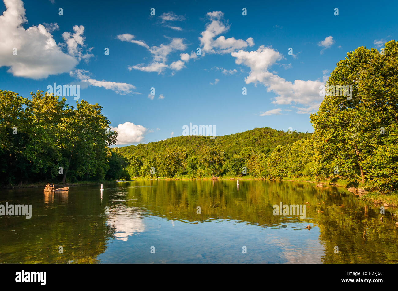 Le Shenandoah River, dans les régions rurales de la vallée de Shenandoah en Virginie. Banque D'Images