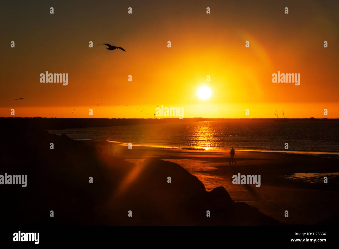 Silhouettes au coucher du soleil à Half Moon Bay, Californie Banque D'Images