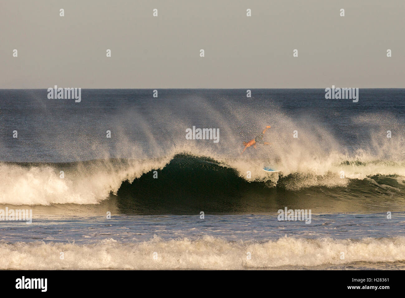 S'envoler le paddle board dans les vagues de Nosara, Costa Rica Banque D'Images