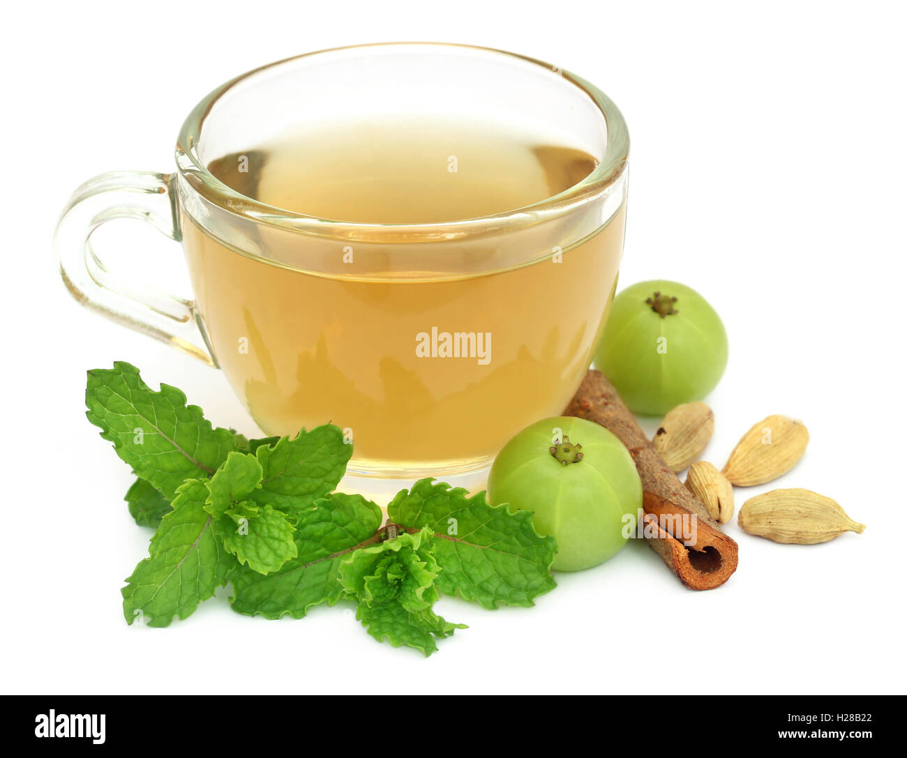 Tisane dans une tasse avec différentes herbes over white background Banque D'Images