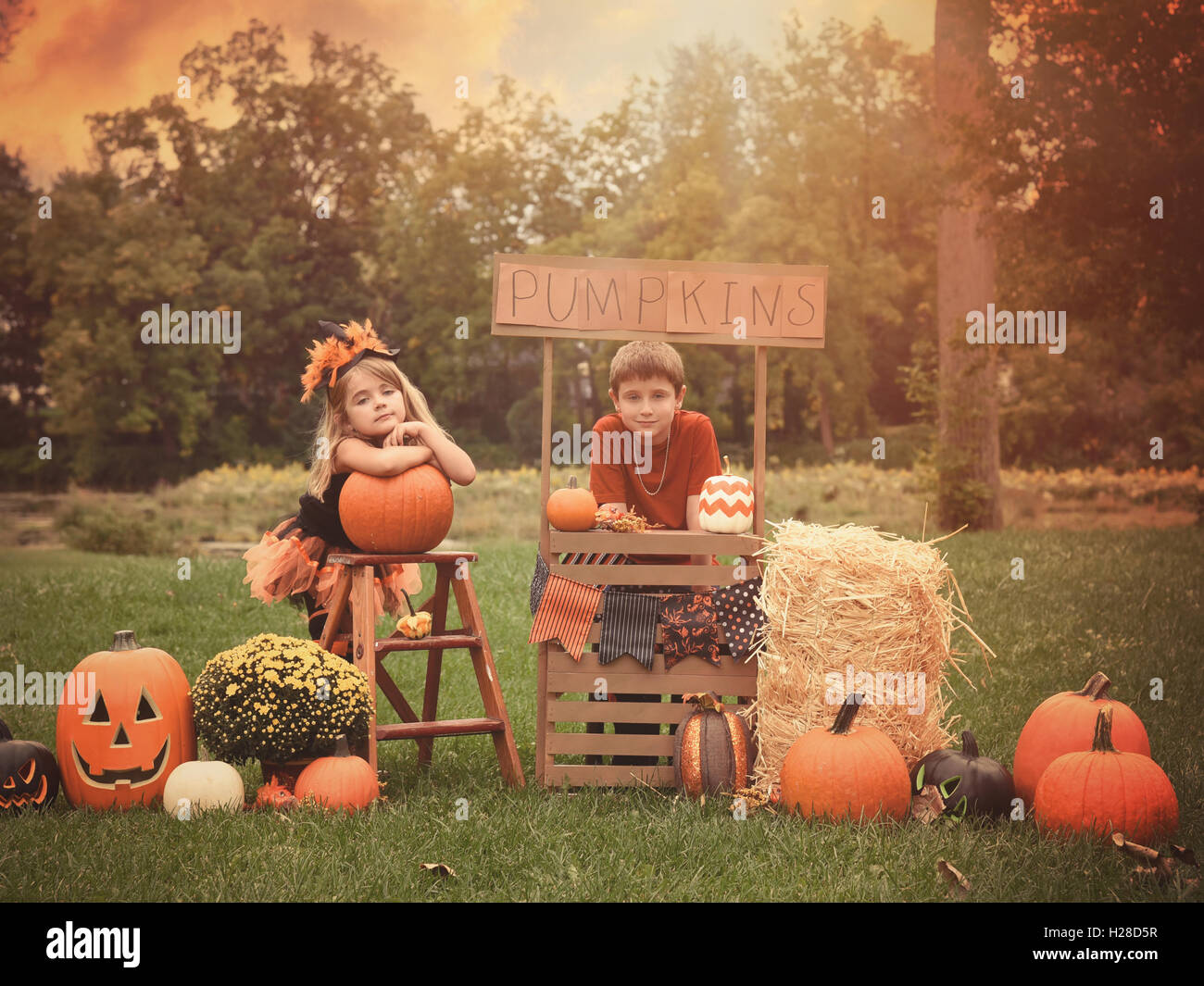 Deux enfants sont assis à l'extérieur à un support en bois vente de citrouilles d'Halloween pour une activité de vacances concept ou idée d'entreprise. Banque D'Images