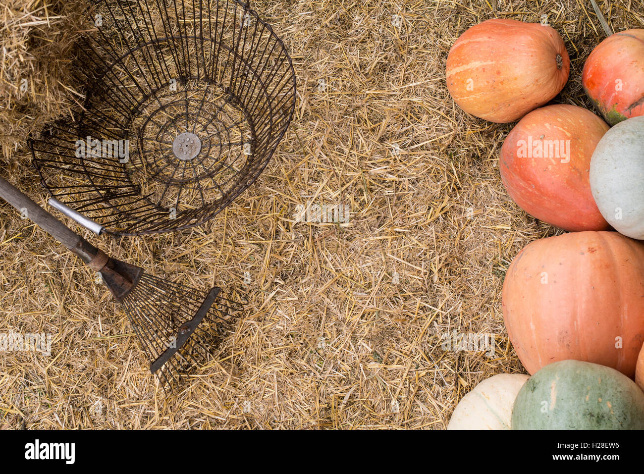 Les citrouilles et les outils de jardin historique Banque D'Images