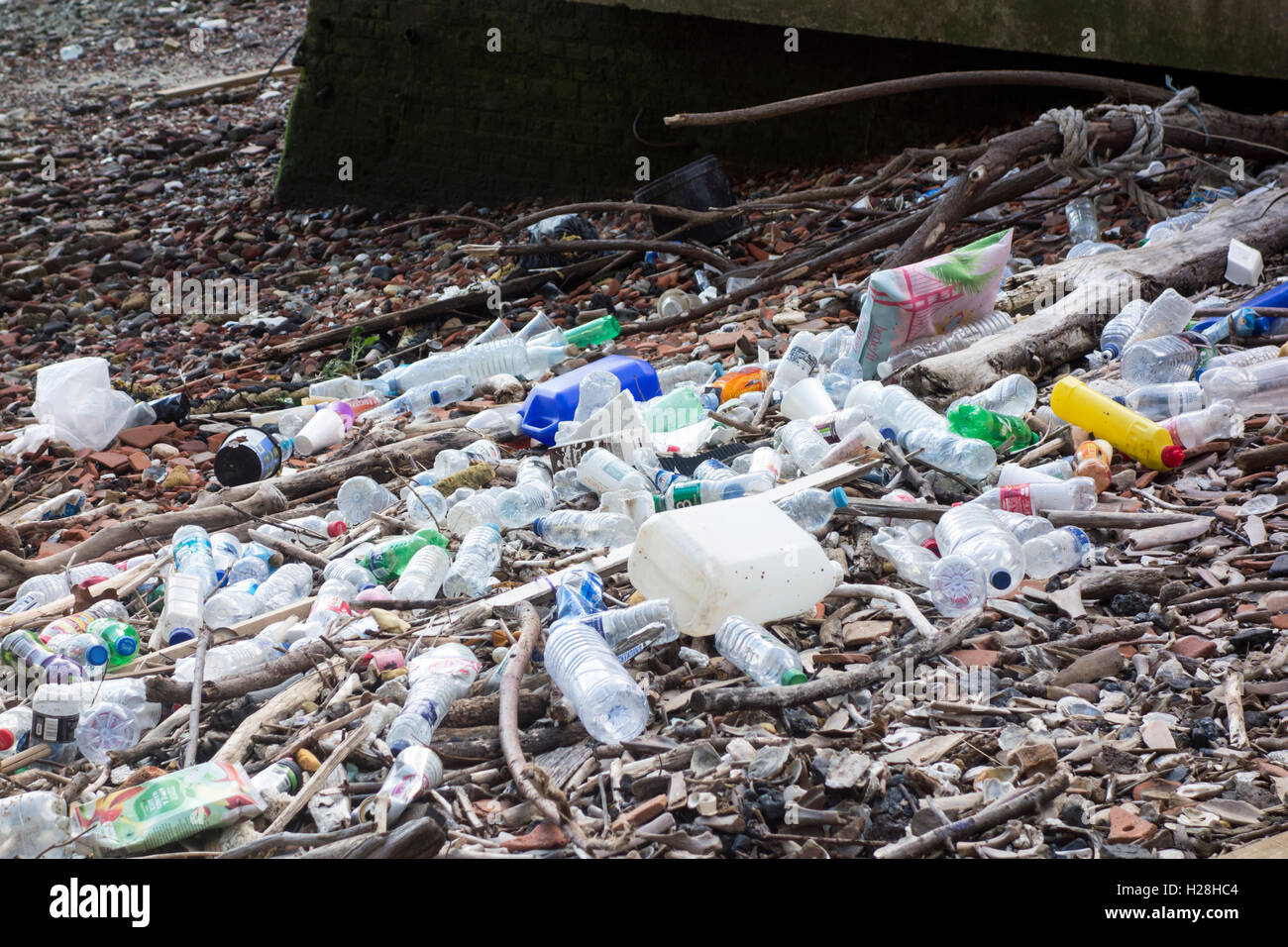 Les bouteilles en plastique et des déchets corbeille sur les rives de la Tamise, Londres, UK Banque D'Images