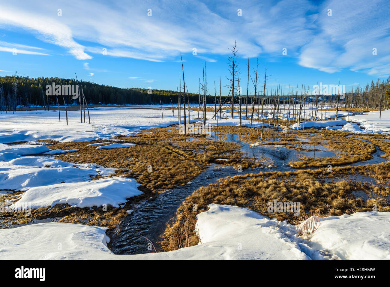 Dans la vallée de l'hiver, le parc national de Yellowstone, Wyoming Banque D'Images