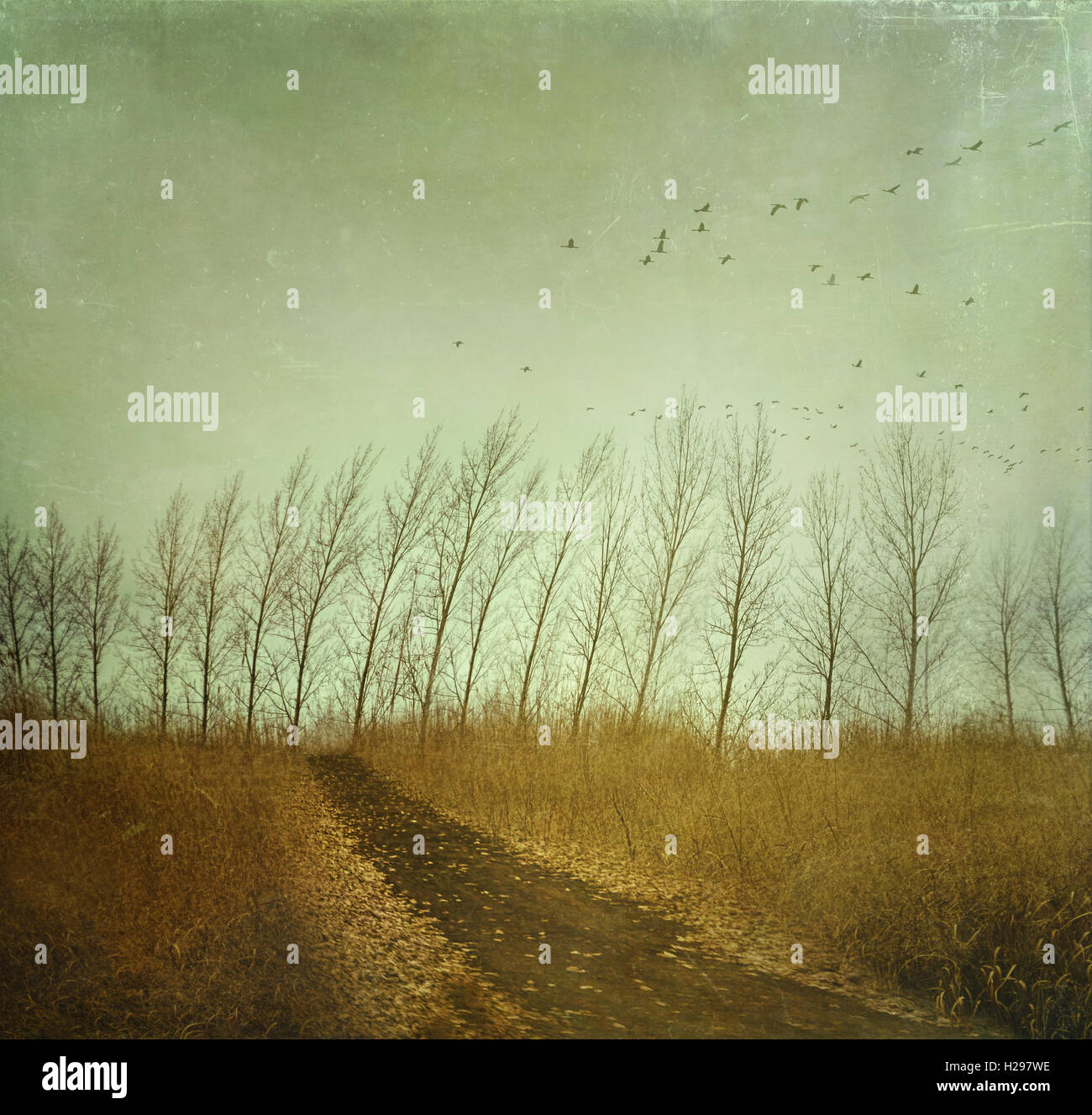 Dans les champs d'automne chemin Pays Banque D'Images