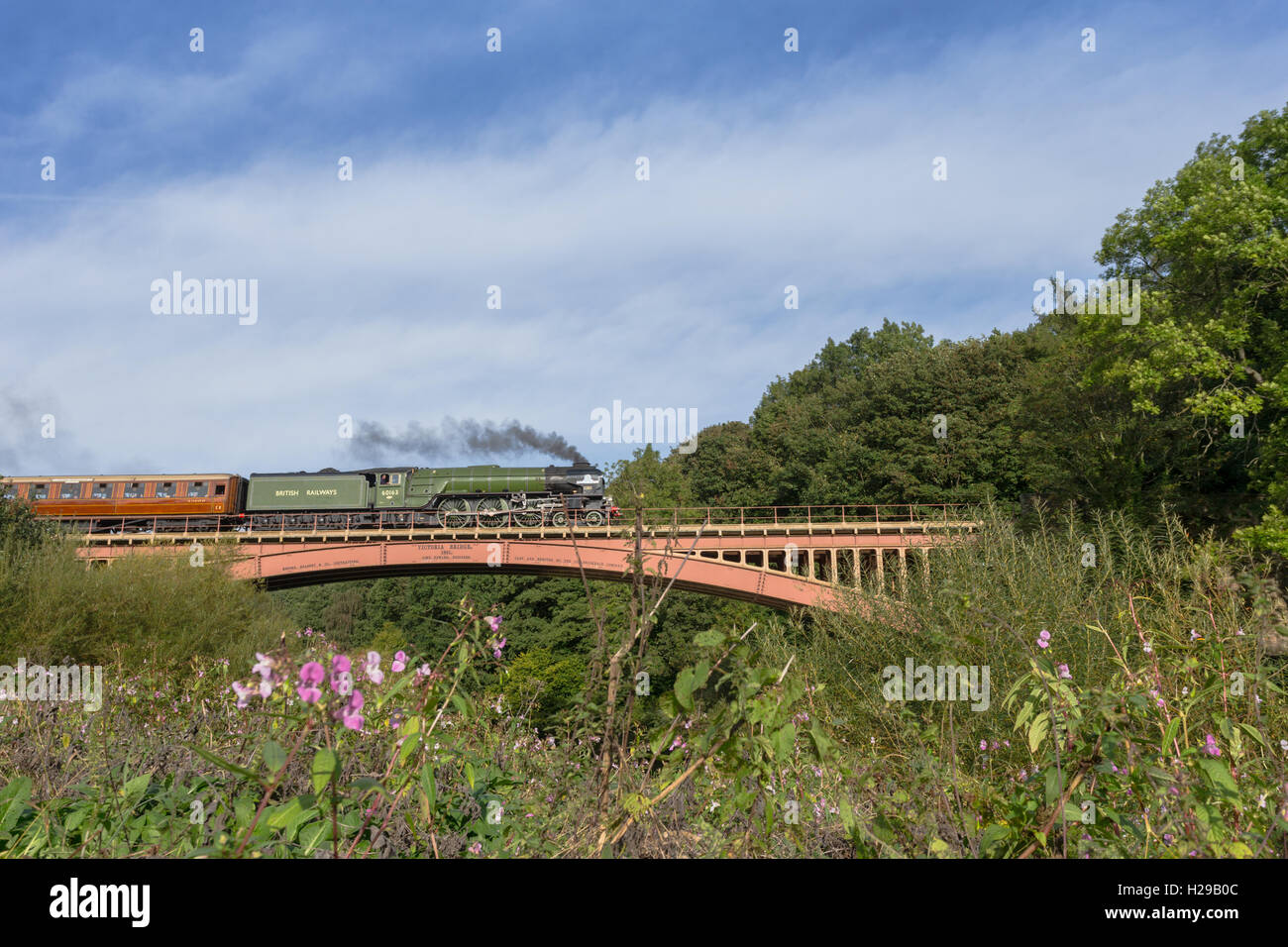 The Flying Scotsman locomotive à vapeur traversant le pont Victoria, Arley, Worcs, sur la Severn Valley Railway, UK Banque D'Images