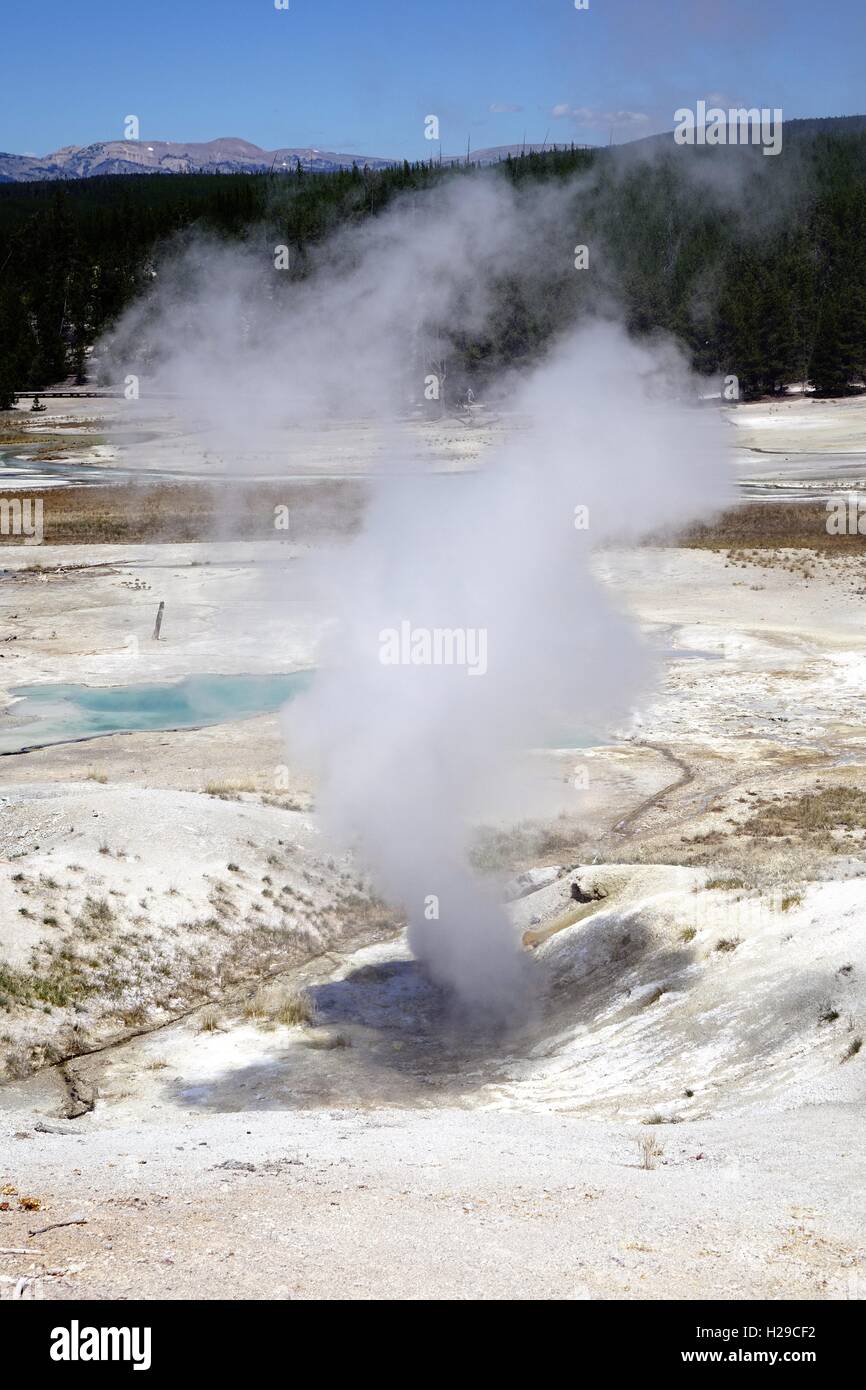 Lavabo en porcelaine, des évents à vapeur, Norris Geyser Basin, Parc National de Yellowstone. fumerolle Banque D'Images