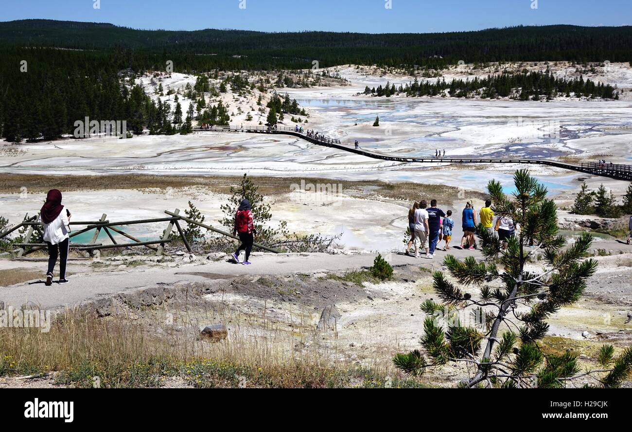 Marche à travers les visiteurs du bassin en porcelaine, Norris Geyser Basin, Parc National de Yellowstone Banque D'Images