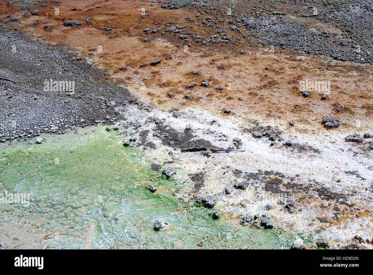 Couleurs d'un petit ruisseau dans le bassin en porcelaine, Norris Geyser Basin, Parc National de Yellowstone. De vert et d'algues Cyanidium oran Banque D'Images