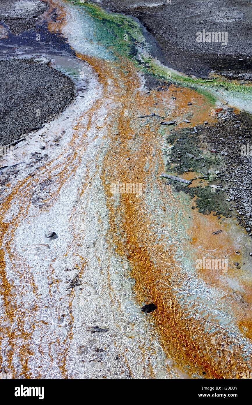 Couleurs d'un petit ruisseau dans le bassin en porcelaine, Norris Geyser Basin, Parc National de Yellowstone. Banque D'Images