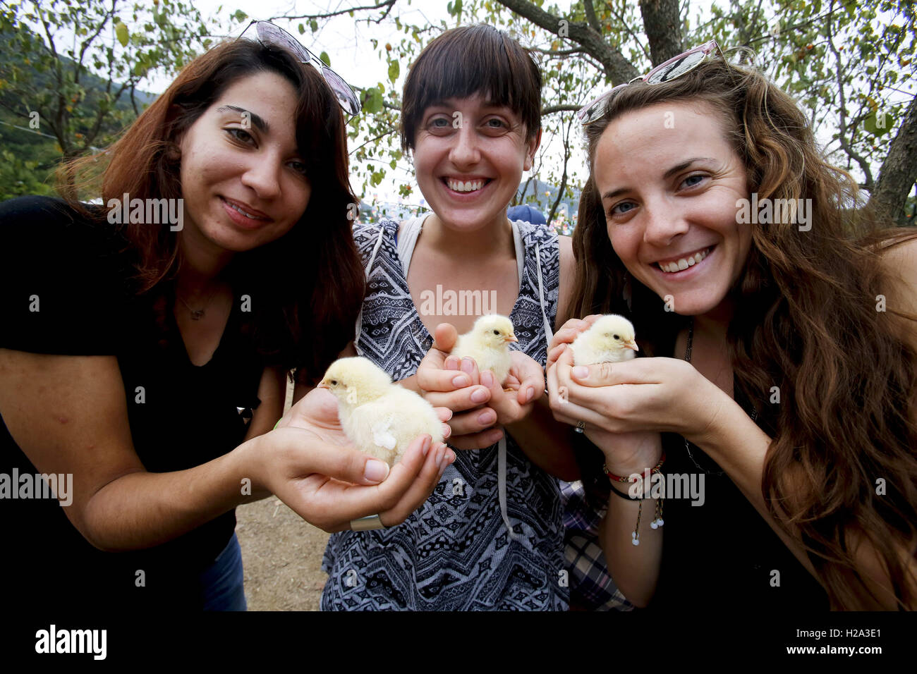 27 septembre 2016 - Wanjugun Jeollabuk-Do, Province, de Corée du Sud - trois femmes posent avec les poussins dans Wanju Wild Food Festival. © Min Won-Ki/ZUMA/Alamy Fil Live News Banque D'Images