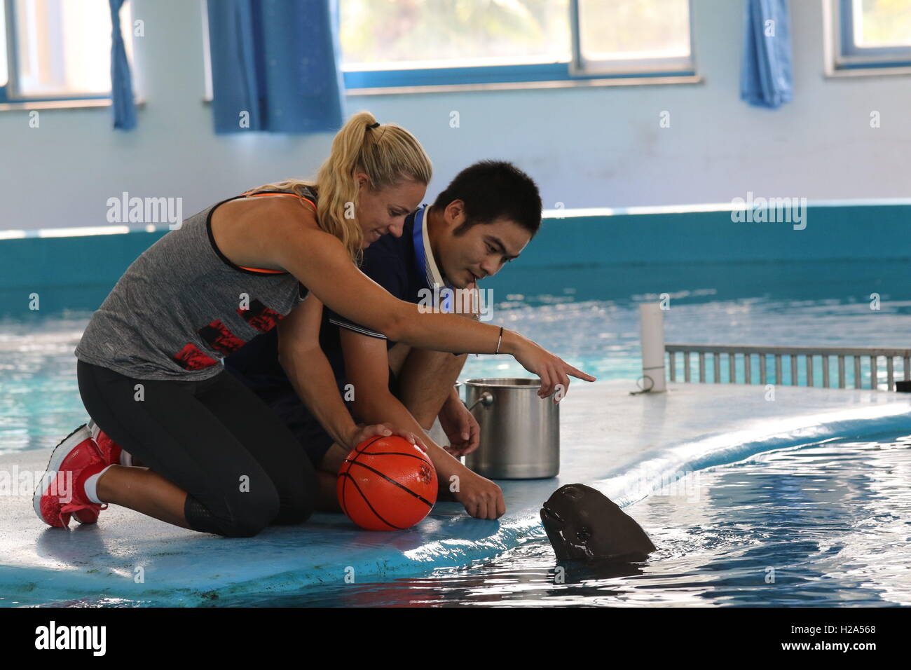 Wuhan, Wuhan, Chine. 26 Sep, 2016. Wuhan, Chine-Le 26 septembre 2016 : ?(EDITORIAL ?utiliser ?SEULEMENT. ?CHINE ?OUT) Le nouveau monde No 1 et l'US Open Angelique Kerber champion rss et trains le Yangtze marsouin de l'Inde à Wuhan, capitale de la Chine centrale¡¯s Â La province du Hubei, le 26 septembre 2016. Le Yangtze marsouin de l'Inde, une espèce en voie de disparition d'espèces sauvages en Chine, est connue pour son sourire malicieux et a un niveau d'intelligence comparable à celle d'un gorille. Au cours de l'ouverture de Wuhan, une activité est tenu de faire appel au public afin de protéger l'environnement de la rivière Yangtze Yangtze et marsouin de l'Inde. (Crédit Banque D'Images