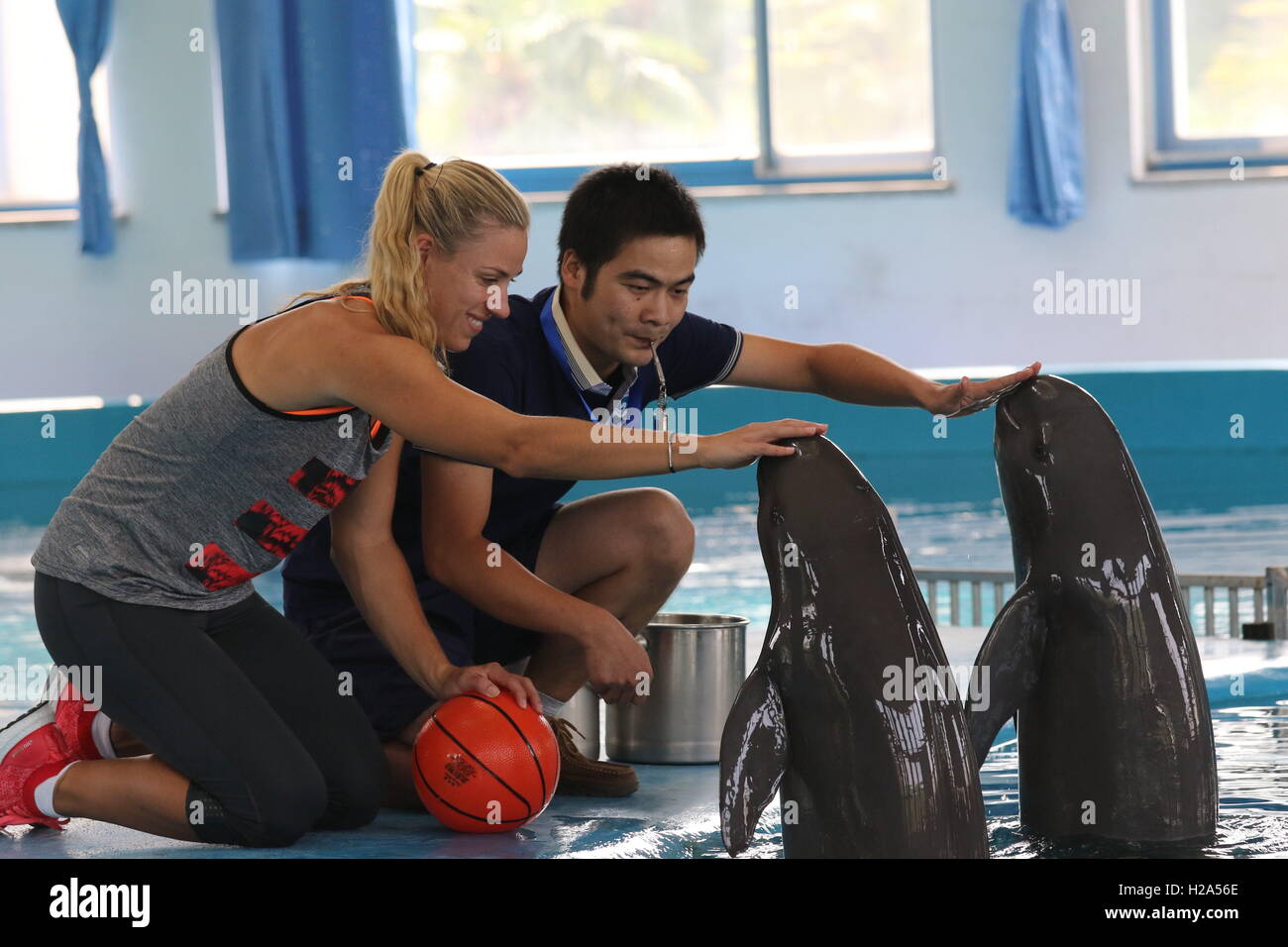 Wuhan, Wuhan, Chine. 26 Sep, 2016. Wuhan, Chine-Le 26 septembre 2016 : ?(EDITORIAL ?utiliser ?SEULEMENT. ?CHINE ?OUT) Le nouveau monde No 1 et l'US Open Angelique Kerber champion rss et trains le Yangtze marsouin de l'Inde à Wuhan, capitale de la Chine centrale¡¯s Â La province du Hubei, le 26 septembre 2016. Le Yangtze marsouin de l'Inde, une espèce en voie de disparition d'espèces sauvages en Chine, est connue pour son sourire malicieux et a un niveau d'intelligence comparable à celle d'un gorille. Au cours de l'ouverture de Wuhan, une activité est tenu de faire appel au public afin de protéger l'environnement de la rivière Yangtze Yangtze et marsouin de l'Inde. (Crédit Banque D'Images