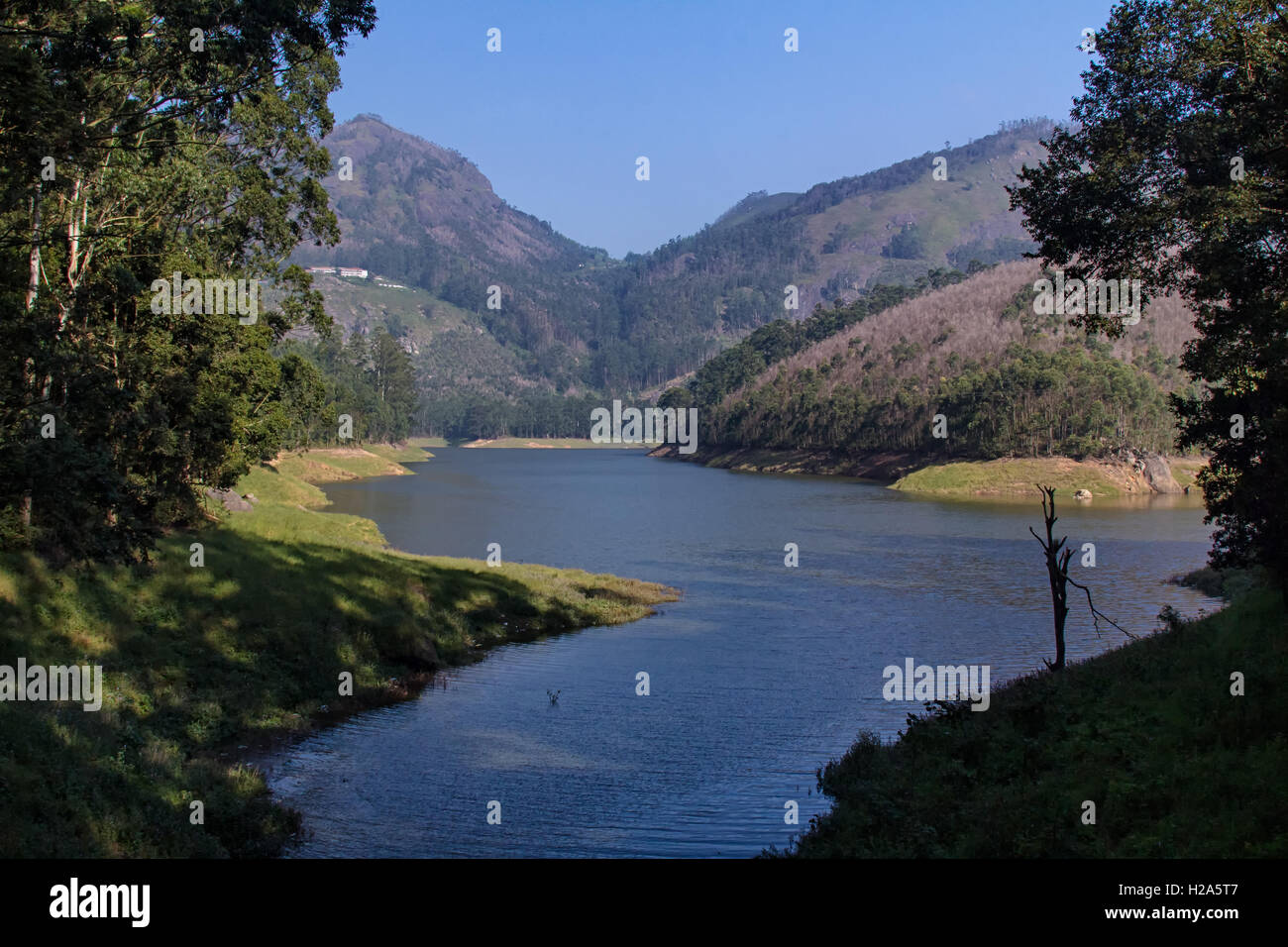 Mattupetty Dam de Munnar, Kerala, Inde Banque D'Images